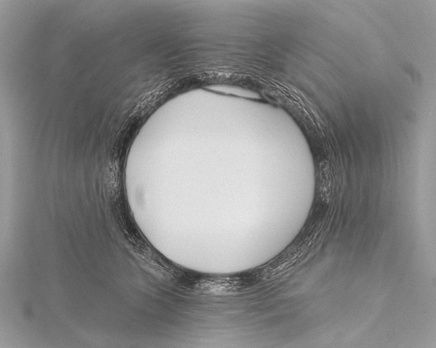 X0000115770563200912041434