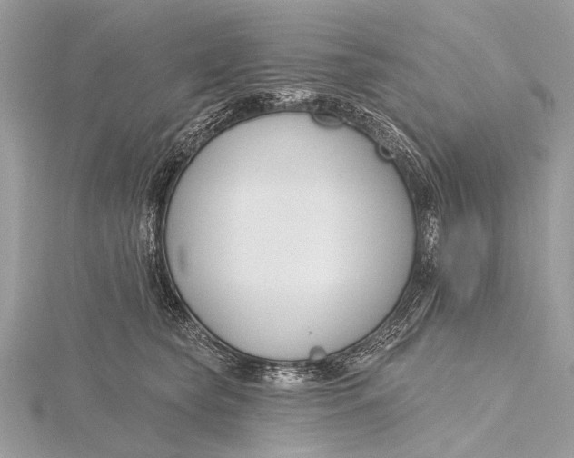 X0000115770565200912041434