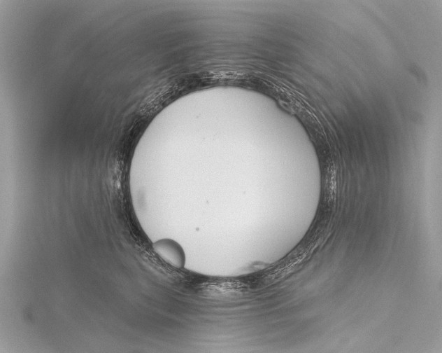 X0000115770567200912041434