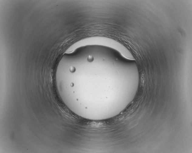 X0000115770570200912041434