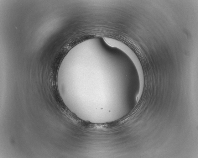 X0000115770573200912041434