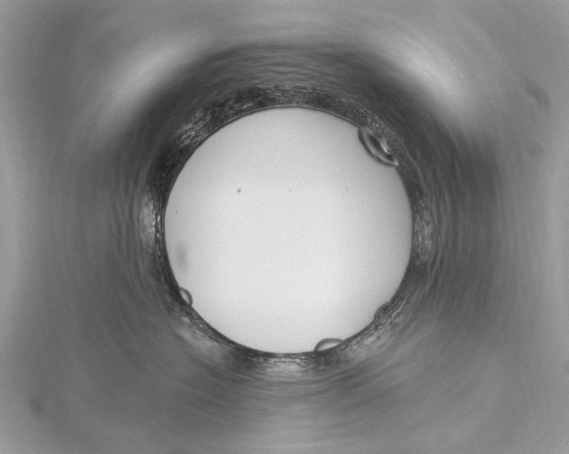 X0000115770574200912041434