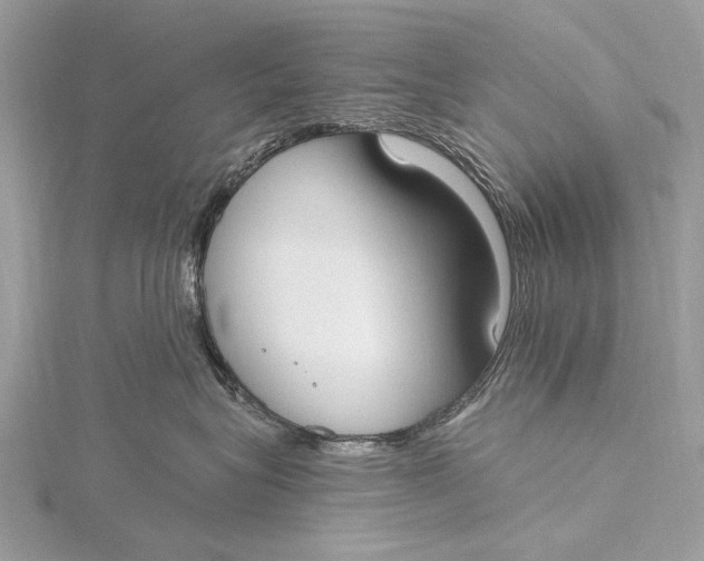 X0000115770575200912041434