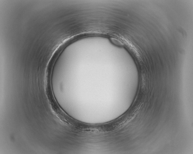 X0000115770580200912041433