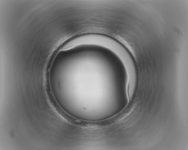 X0000115770581200912041433