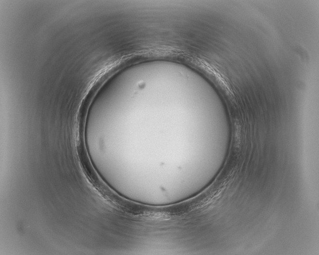 X0000115770582200912041433