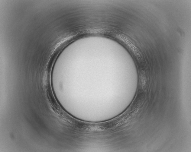 X0000115770583200912041433