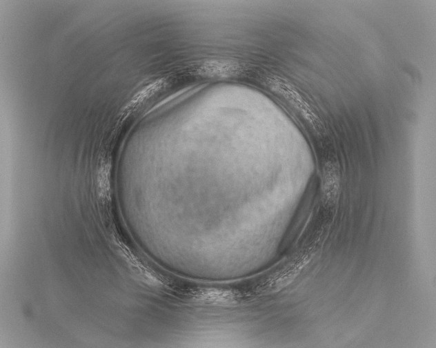 X0000115770585200912041433