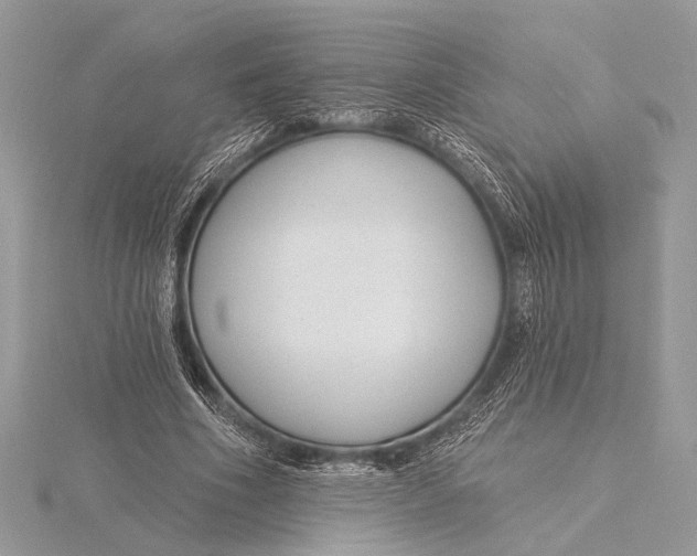 X0000115770586200912041433