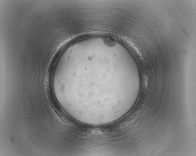 X0000115770588200912041433