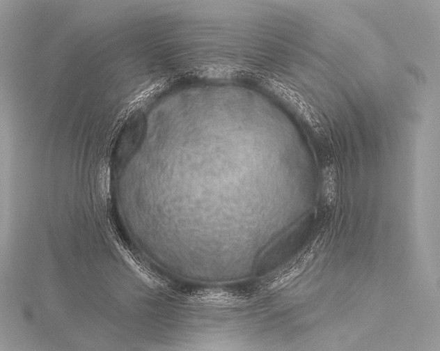 X0000115770589200912041433