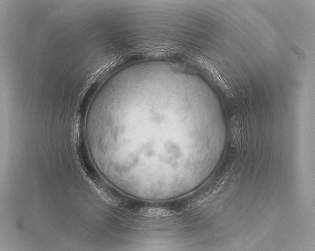 X0000115770590200912041433