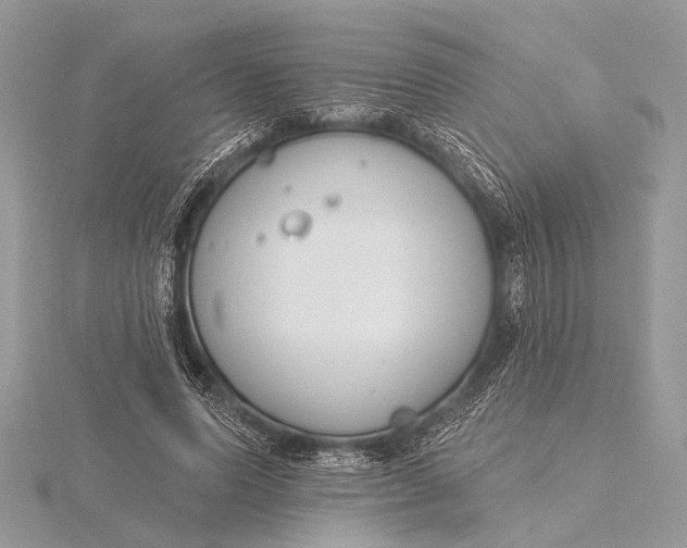 X0000115770591200912041433