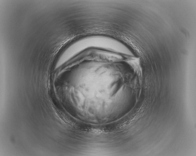 X0000115770592200912041433