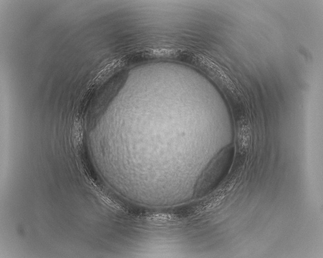 X0000115770593200912041433