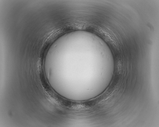 X0000115770594200912041433