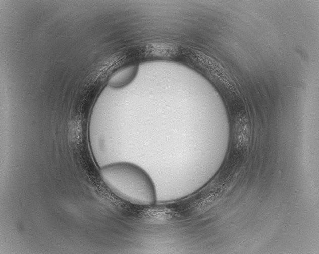 X0000115770595200912041433