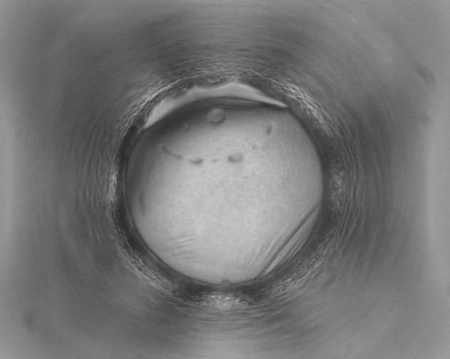 X0000115770596200912041433