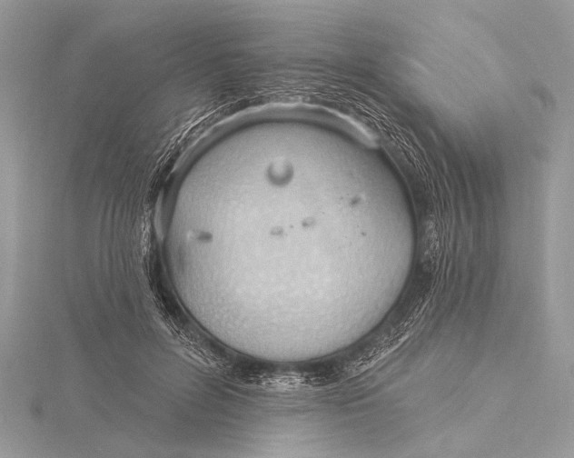 X0000115770600200912041433