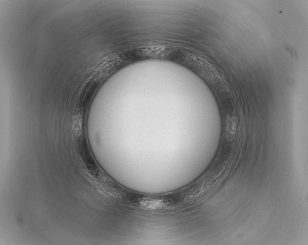 X0000115770602200912041433