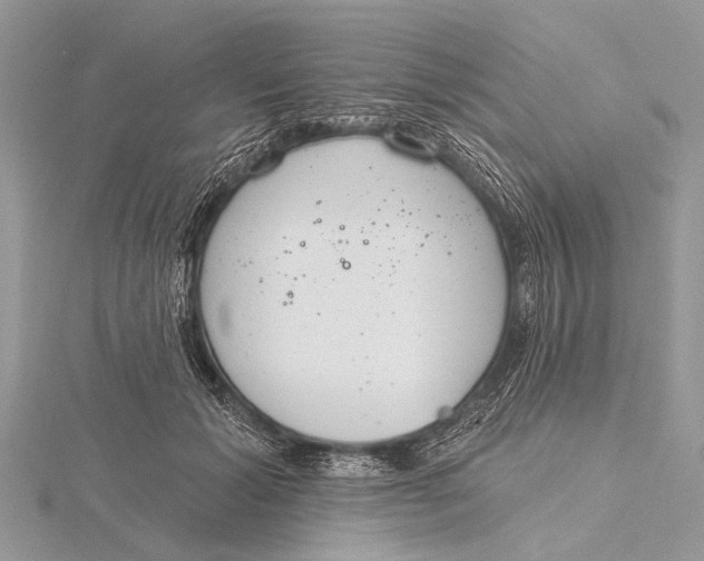 X0000115770605200912041433