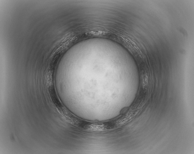 X0000115770606200912041433