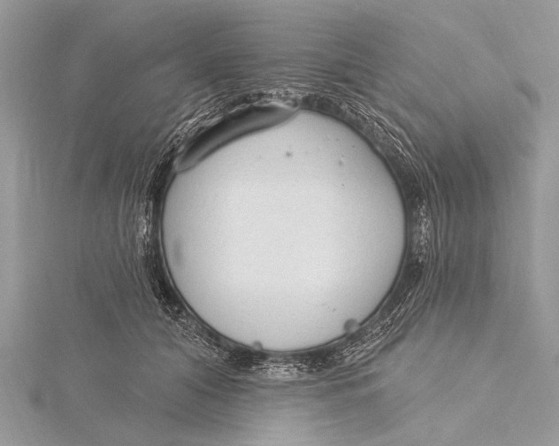 X0000115770608200912041433