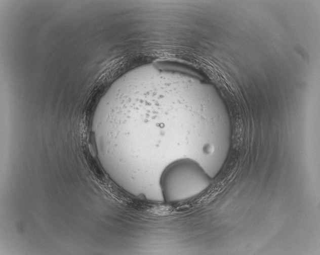 X0000115770609200912041433