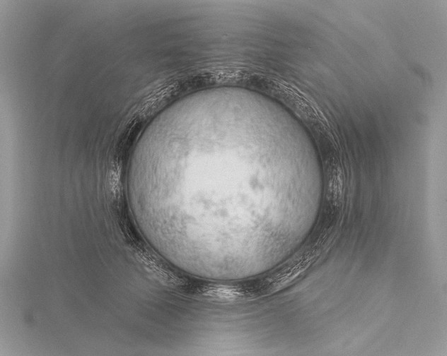 X0000115770610200912041433