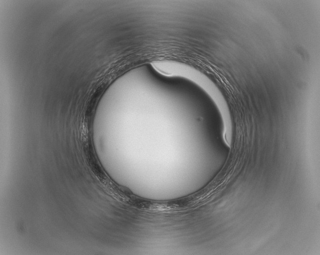 X0000115770613200912041433