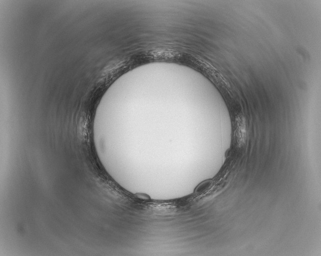 X0000115770619200912041433