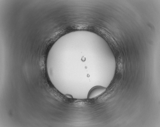 X0000115770620200912041433