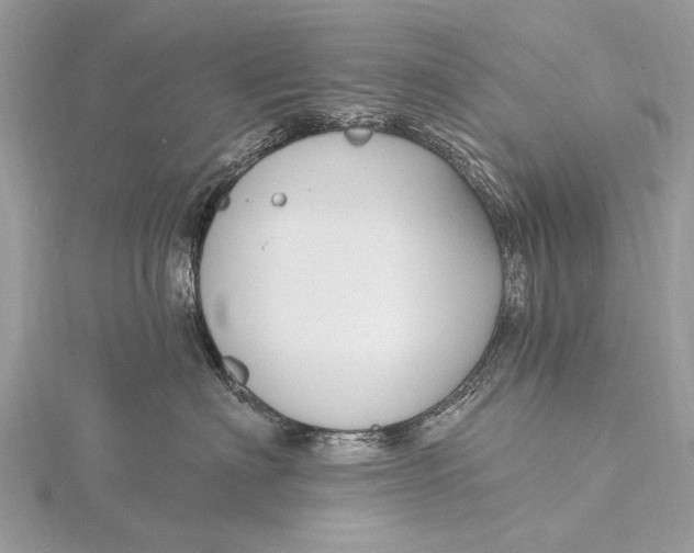 X0000115770622200912041433