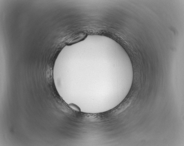 X0000115770624200912041433