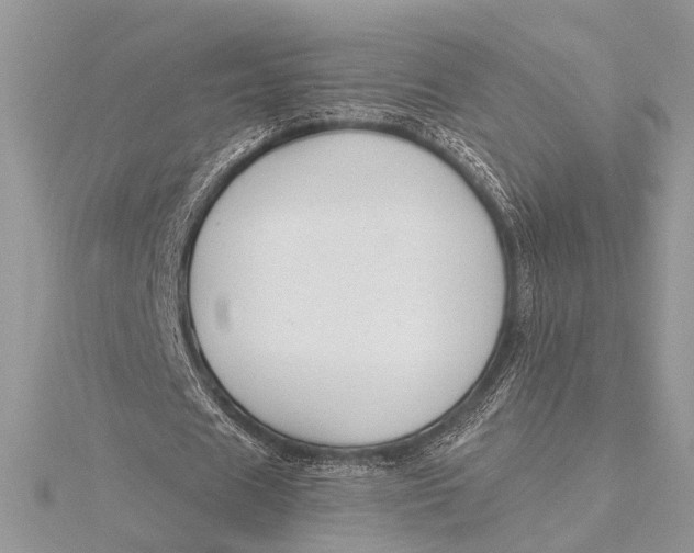 X0000115770625200912041432