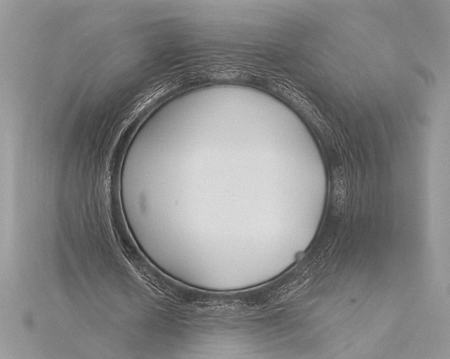 X0000115770626200912041432