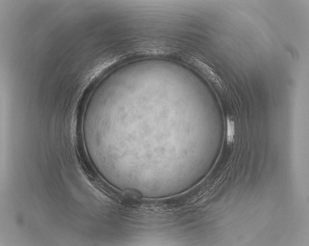 X0000115770627200912041432