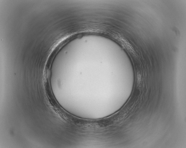 X0000115770628200912041432