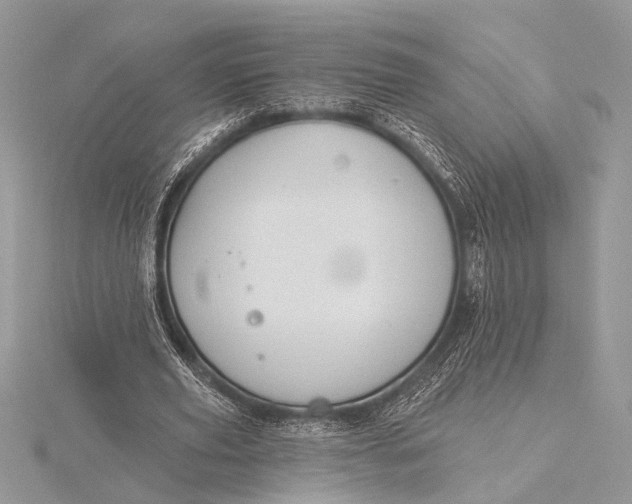 X0000115770629200912041432