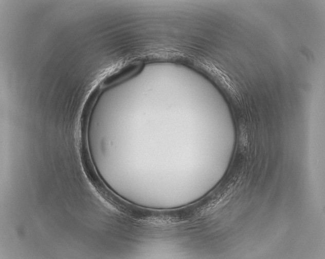 X0000115770630200912041432