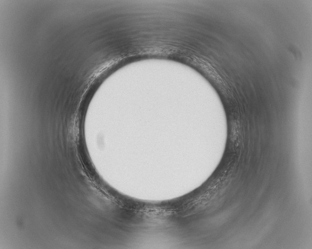 X0000115770632200912041432