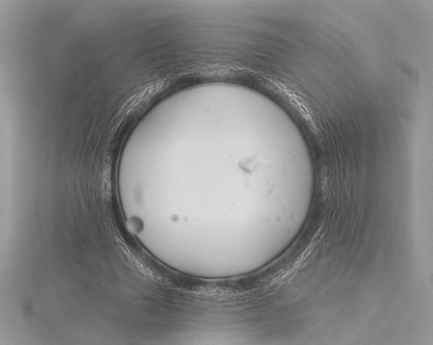 X0000115770633200912041432