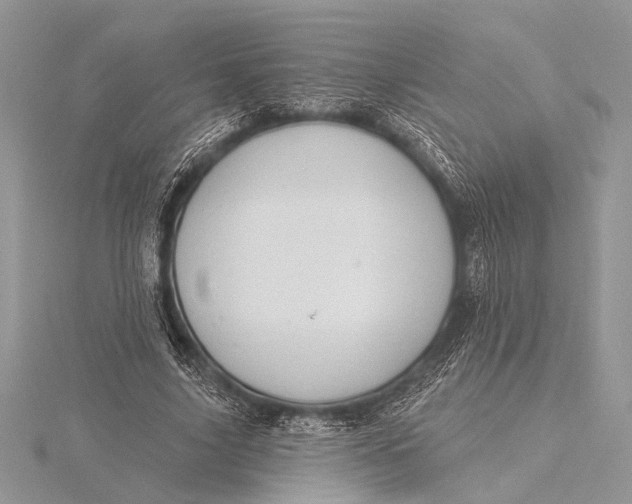 X0000115770635200912041432