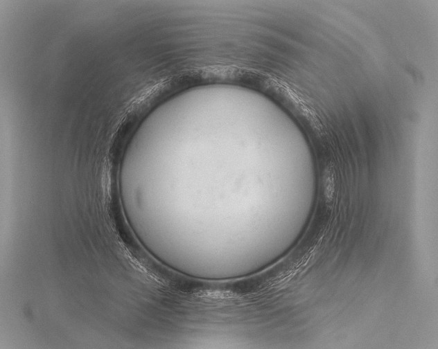 X0000115770637200912041432