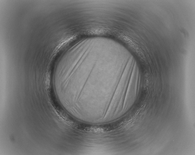 X0000115770640200912041432