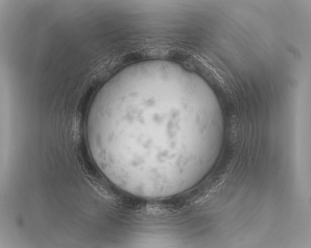 X0000115770641200912041432