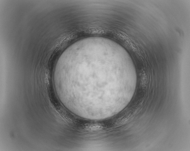 X0000115770643200912041432