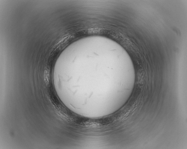 X0000115770648200912041432