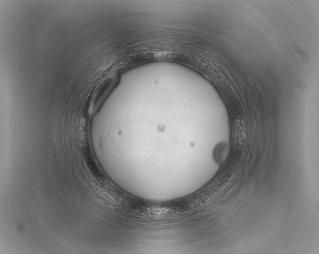 X0000115770650200912041432