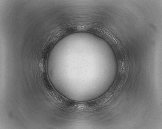 X0000115770655200912041432